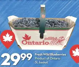 Longo's Ontario Fresh Wild Blueberries offer
