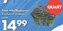 Longo's Fresh Wild Blueberries offer