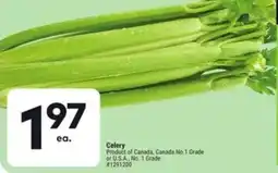 Giant Tiger Celery offer