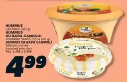IGA Hummus Lantana offer