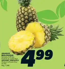 IGA Organic pineapple offer