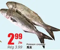 Btrust Supermarket Poisson croaker offer