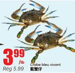 Btrust Supermarket Crabe bleu vivant offer
