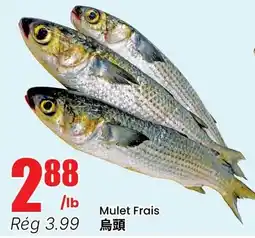 Btrust Supermarket Mulet Frais offer