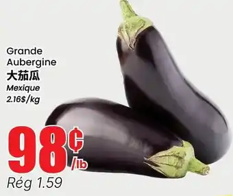 Grande Aubergine