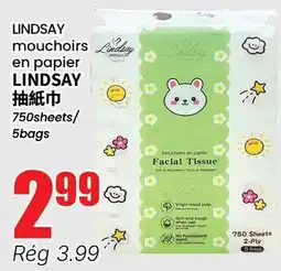 Btrust Supermarket Lindsay facial tissue offer