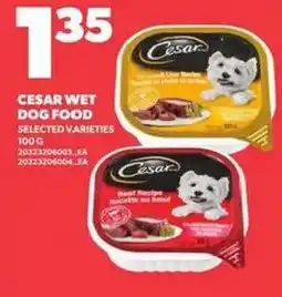 Loblaws Cesar wet dog food selected varieties offer
