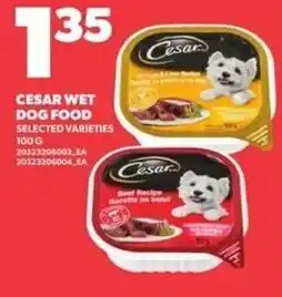 Loblaws Cesar wet dog food selected varieties offer