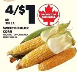 Loblaws sweet bicolor corn offer