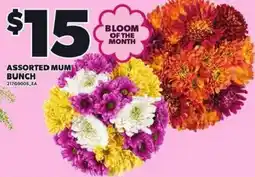 Loblaws Assorted Mum Bunch offer