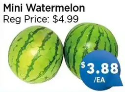 Blue Sky Supermarket Mini Watermelon offer