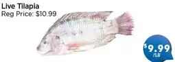 Blue Sky Supermarket Live Tilapia offer