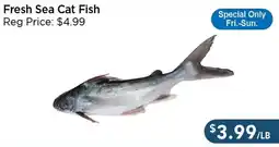 Blue Sky Supermarket Fresh Sea Cat Fish offer