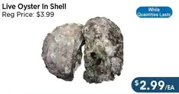 Blue Sky Supermarket Live Oyster In Shell offer