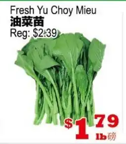 Yuan Ming Supermarket Fresh Yu Choy Mieu offer