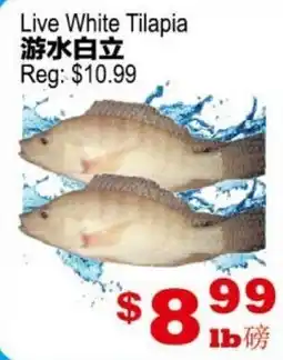 Yuan Ming Supermarket Live White Tilapia offer