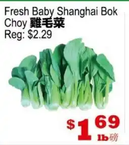 Yuan Ming Supermarket Fresh Baby Shanghai Bok Choy offer