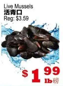 Yuan Ming Supermarket Live Mussels offer