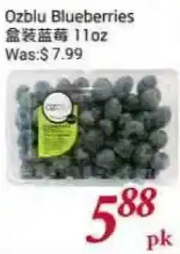Tone Tai Supermarket Ozblu Blueberries offer