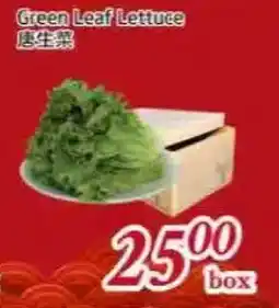 Tone Tai Supermarket Green Leaf Lettuce offer