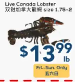 Oceans Fresh Food Market Live Canada Lobster offer