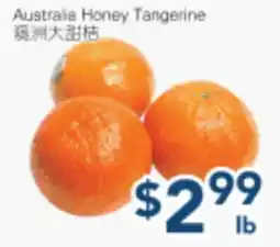 Oceans Fresh Food Market Australia Honey Tangerine offer
