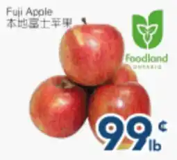 Oceans Fresh Food Market Fuji Apple offer