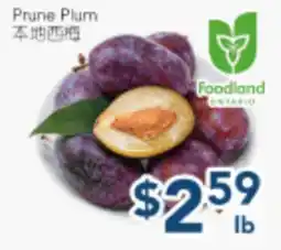 Oceans Fresh Food Market Prune Plum offer
