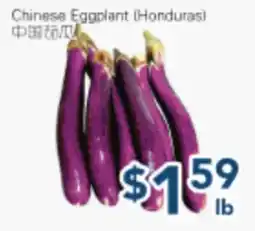 Oceans Fresh Food Market Chinese Eggplant (Honduras) offer