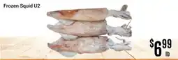 Nations Fresh Foods Frozen Squid U2 offer
