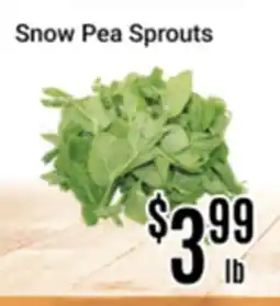 Nations Fresh Foods Snow Pea Sprouts offer