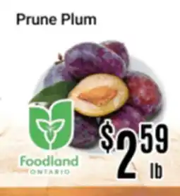 Nations Fresh Foods Prune Plum offer