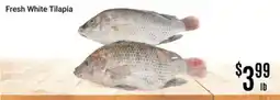 Nations Fresh Foods Fresh White Tilapia offer