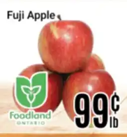 Nations Fresh Foods Fuji Apple offer