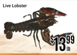 Nations Fresh Foods Live Lobster offer