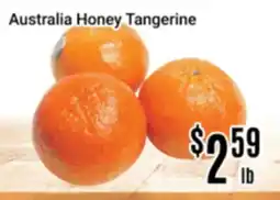 Nations Fresh Foods Australia Honey Tangerine offer