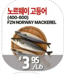 PAT Mart FZN NORWAY MACKEREL offer