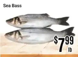 Nations Fresh Foods Sea Bass offer