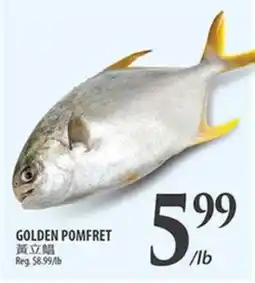 Al Premium Food Mart GOLDEN POMFRET offer