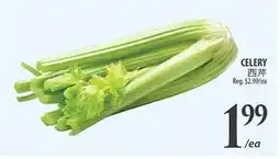 Al Premium Food Mart CELERY offer