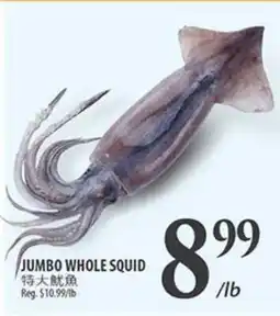 Al Premium Food Mart JUMBO WHOLE SQUID offer