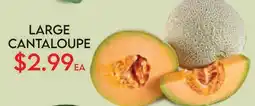 Fiesta Farms LARGE CANTALOUPE offer