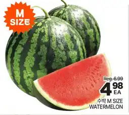 H-Mart M SIZE WATERMELON offer