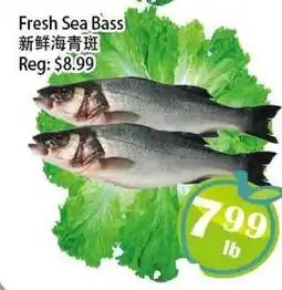 Food Depot Supermarket Fresh Sea Bass offer