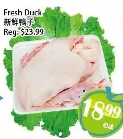 Food Depot Supermarket Fresh Duck offer
