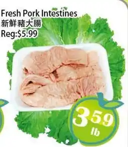 Food Depot Supermarket Fresh Pork Intestines offer