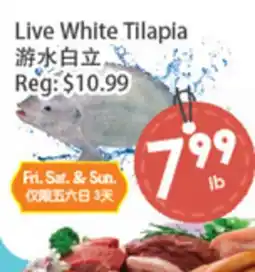 Fresh Palace Supermarket Live White Tilapia offer