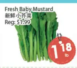 Fresh Palace Supermarket Fresh Baby Mustard offer