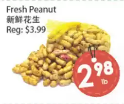 Fresh Palace Supermarket Fresh Peanut offer