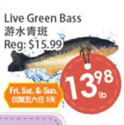 Fresh Palace Supermarket Live Green Bass offer